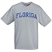 Florida Gators Ash Horizontal Arch Logo T-shirt
