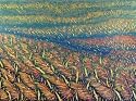 'Colorful Thai Field'