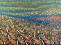 'Colorful Thai Field'