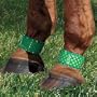 FLY FREE ZONE(TM) Fly Leg Bands for Horses