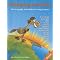 Geography and World Cultures for Children
