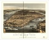 Historic New York, NY, 1856, Bird's Eye View Map (S) (WS)
