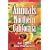 Annuals for Northern California