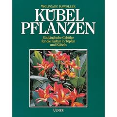 K�belpflanzen: S�dl�ndische Geh�lze f�r die Kultur in T�pfen und K�beln