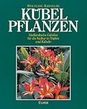 K�belpflanzen: S�dl�ndische Geh�lze f�r die Kultur in T�pfen und K�beln
