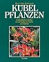 K�belpflanzen: S�dl�ndische Geh�lze f�r die Kultur in T�pfen und K�beln