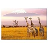 Amboseli National Park, Kenya Jigsaw Puzzle 1000pc