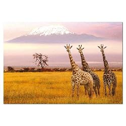 Amboseli National Park, Kenya Jigsaw Puzzle 1000pc