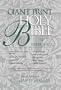 KJV Giant Print Reference Bible, Silver Edition