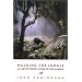 Walking the Jungle: An Adventurer's Guide to the Amazon