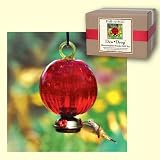 Dewdrop Hummingbird Feeder Ruby Red Gift Set
