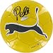 Pele Hand Signed Soccer Ball