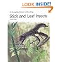 A Complete Guide to Breeding Stick and Leaf Insects