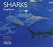 Sharks (Worldlife Library Series)