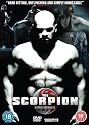 The Scorpion [DVD]