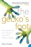 Gecko's Foot: How Scientists are Taking a Leaf from Mother Nature's Book
