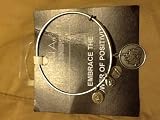 Alex and Ani (+) Energy Bracelet Disneyland Enchanted Castle Silver Tone