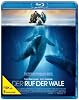 Der Ruf der Wale (DVD)