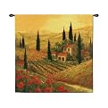 Poppies Of Toscano Wall Tapestry
