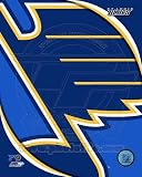 St. Louis Blues 2011 Team Logo Poster (8.00 x 10.00)