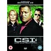CSI: Las Vegas- Complete Season 10 [DVD]