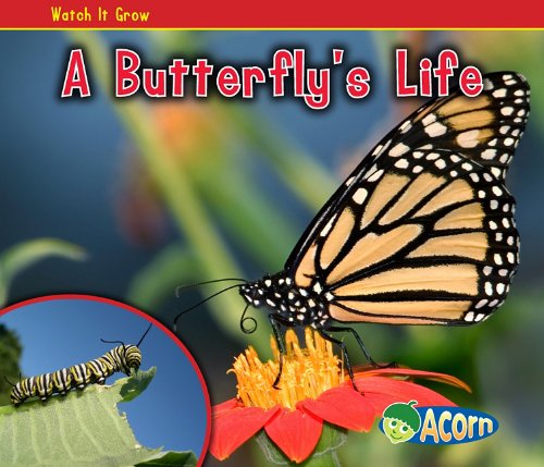 A Butterfly's Life (Watch It Grow)