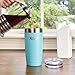 Healthy Human Stainless Steel Tumbler with Straw & Lid | Splash Proof Insulated Travel Cup | Eco-Friendly Coffee Tumblers | Water Cups with Straws Cleaner and Splash Proof Lids (20oz, Glacier)