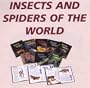 Insects and Spiders of the World