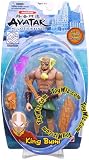 Avatar the Last Airbender Basic Water Series Action Figure King Bumi