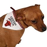 Chicago Bulls Pet Collar Bandana (Large)