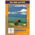 Kilimanjaro Trekking