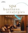 Spa Business Strategies: A Plan for Success