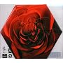 Beautiful Garbage - Edition limit�e Digipack ~ Garbage