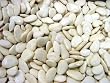 Gigantes (Greek Giant White Beans) Bulk - 1 Pound
