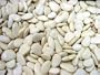 Gigantes (Greek Giant White Beans) Bulk - 1 Pound