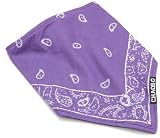 Chaos Men's Paisley Fleece Lined Bandana (Purple, Unisex)