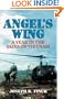 Angel's Wing: A Year in the Skies of Vietnam
