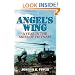Angel's Wing: A Year in the Skies of Vietnam
