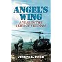 Angel's Wing: A Year in the Skies of Vietnam