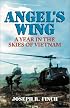 Angel's Wing: A Year in the Skies of Vietnam