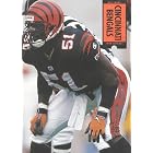 Click here to buy Cincinnati Bengals (NFL Today) by  John Nichols.