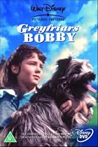 Greyfriars Bobby [DVD] [1960]