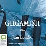 Gilgamesh: A Novel