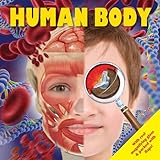 Human body