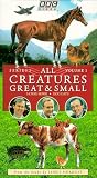 All Creatures Great and Small: Horse Sense Dog Days (Series 1, Volume 1)