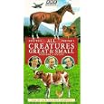 All Creatures Great & Small: Horse Sense