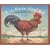 R is for Rhode Island Red: A Rhode Island Alphabet Edition 1. (Discover America State By State. Alphabet Series)