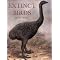 Extinct (or Possibly Extinct) Birds