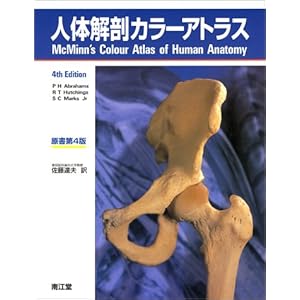 �l�̉�U�J���[�A�g���X