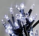 Premier 80 Multiaction LED Superbrights White Lights